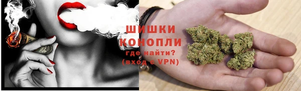 мяу мяу мука Дмитриев