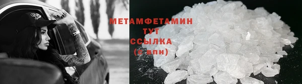 мяу мяу мука Дмитриев