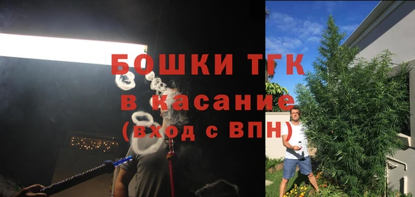 мяу мяу мука Дмитриев