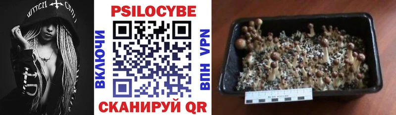 Купить  Слободской  Псилоцибиновые грибы мухоморы 